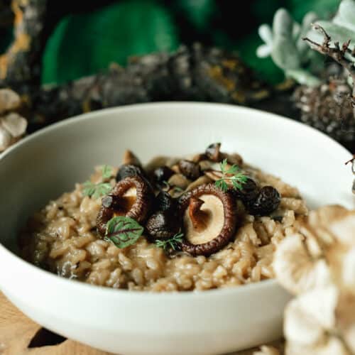 Prato risotto de cogumelos